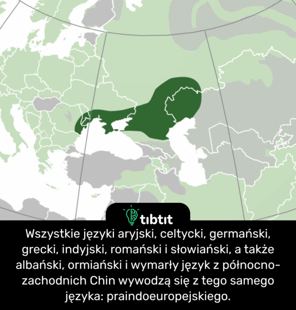 Wszystkie języki aryjski, celtycki, germański, grecki, indyjski, romański i słowiański, a także albański, ormiański i wymarły język z północno-zachodnich Chin wywodzą się z tego samego języka: praindoeuropejskiego.