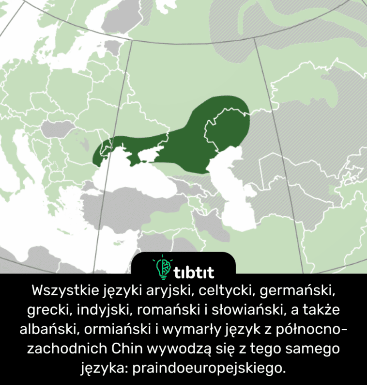 Wszystkie języki aryjski, celtycki, germański, grecki, indyjski, romański i słowiański, a także albański, ormiański i wymarły język z północno-zachodnich Chin wywodzą się z tego samego języka: praindoeuropejskiego.