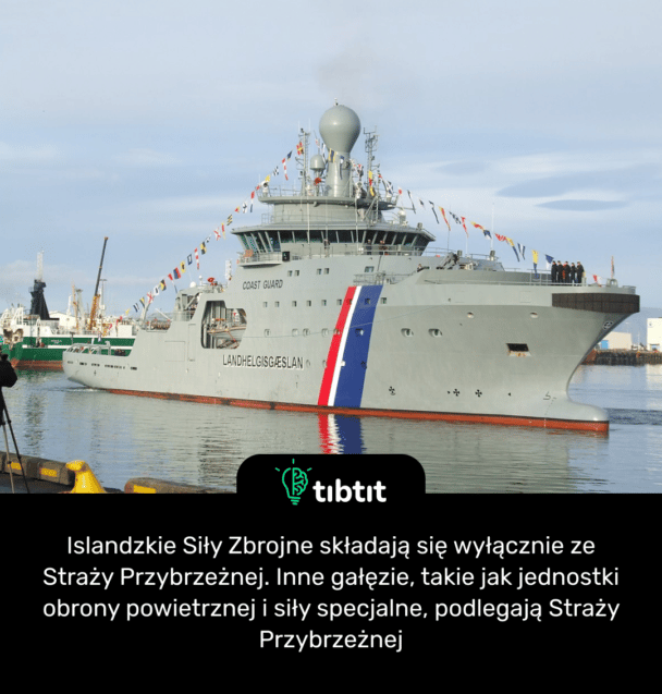 Islandzkie Siły Zbrojne składają się wyłącznie ze Straży Przybrzeżnej. Inne gałęzie, takie jak jednostki obrony powietrznej i siły specjalne, podlegają Straży Przybrzeżnej