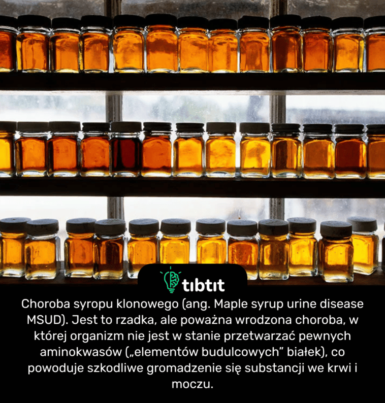 Choroba syropu klonowego (ang. Maple syrup urine disease MSUD). Jest to rzadka, ale poważna wrodzona choroba, w której organizm nie jest w stanie przetwarzać pewnych aminokwasów („elementów budulcowych” białek), co powoduje szkodliwe gromadzenie się substancji we krwi i moczu.