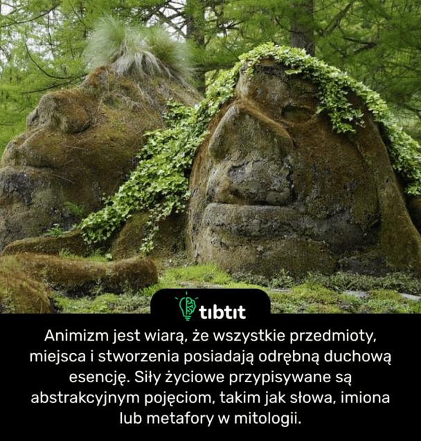 Animizm jest wiarą, że wszystkie przedmioty, miejsca i stworzenia posiadają odrębną duchową esencję. Siły życiowe przypisywane są abstrakcyjnym pojęciom, takim jak słowa, imiona lub metafory w mitologii.