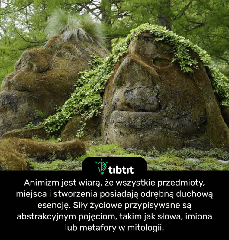 Animizm jest wiarą, że wszystkie przedmioty, miejsca i stworzenia posiadają odrębną duchową esencję. Siły życiowe przypisywane są abstrakcyjnym pojęciom, takim jak słowa, imiona lub metafory w mitologii.