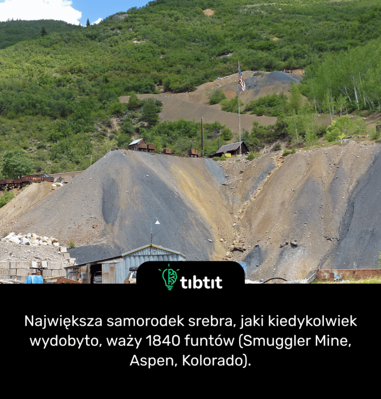 Największa samorodek srebra, jaki kiedykolwiek wydobyto, waży 1840 funtów (Smuggler Mine, Aspen, Kolorado).