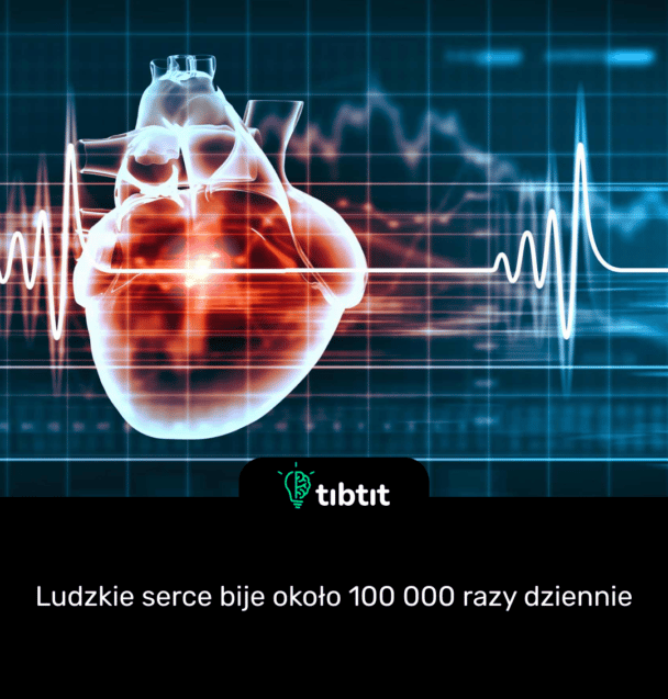Ludzkie serce bije około 100 000 razy dziennie