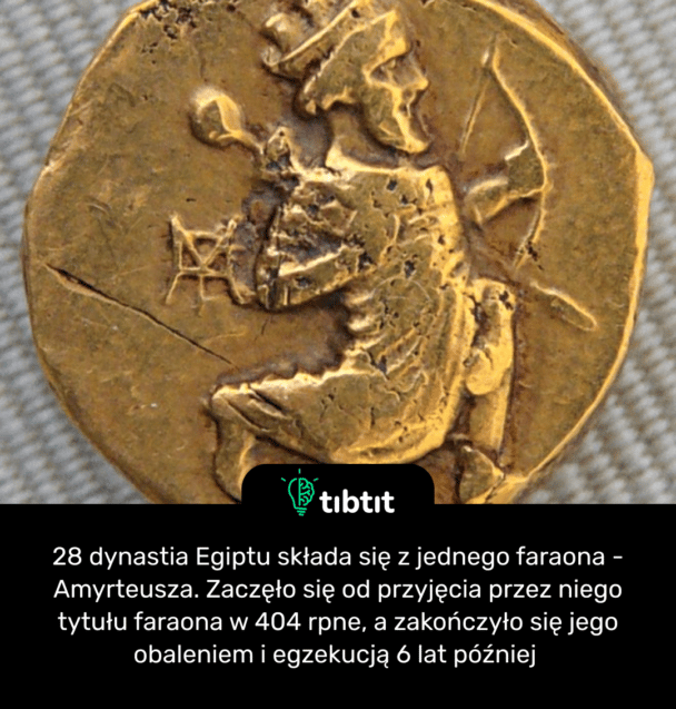 28 dynastia Egiptu składa się z jednego faraona - Amyrteusza. Zaczęło się od przyjęcia przez niego tytułu faraona w 404 rpne, a zakończyło się jego obaleniem i egzekucją 6 lat później