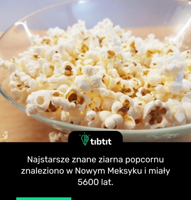 Najstarsze znane ziarna popcornu znaleziono w Nowym Meksyku i miały 5600 lat.