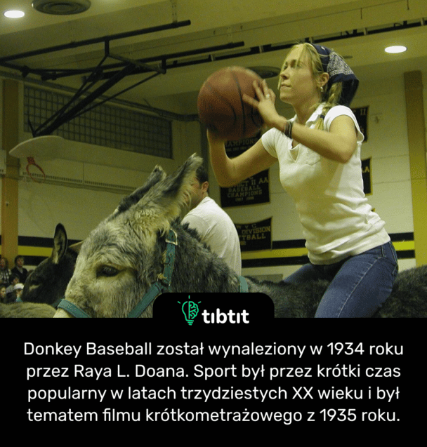 Donkey Baseball został wynaleziony w 1934 roku przez Raya L. Doana. Sport był przez krótki czas popularny w latach trzydziestych XX wieku i był tematem filmu krótkometrażowego z 1935 roku.