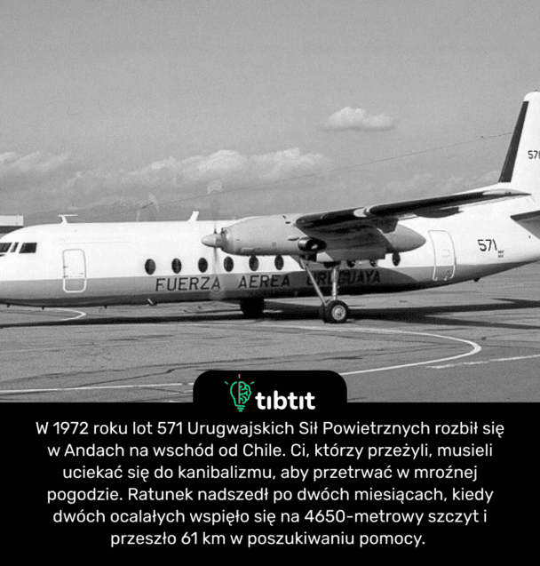 W 1972 roku lot 571 Urugwajskich Sił Powietrznych rozbił się w Andach na wschód od Chile. Ci, którzy przeżyli, musieli uciekać się do kanibalizmu, aby przetrwać w mroźnej pogodzie. Ratunek nadszedł po dwóch miesiącach, kiedy dwóch ocalałych wspięło się na 4650-metrowy szczyt i przeszło 61 km w poszukiwaniu pomocy.