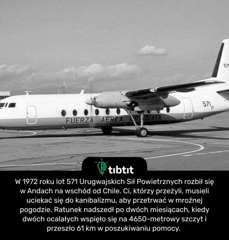 W 1972 roku lot 571 Urugwajskich Sił Powietrznych rozbił się w Andach na wschód od Chile. Ci, którzy przeżyli, musieli uciekać się do kanibalizmu, aby przetrwać w mroźnej pogodzie. Ratunek nadszedł po dwóch miesiącach, kiedy dwóch ocalałych wspięło się na 4650-metrowy szczyt i przeszło 61 km w poszukiwaniu pomocy.