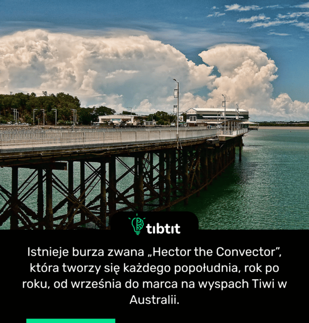 Istnieje burza zwana „Hector the Convector”, która tworzy się każdego popołudnia, rok po roku, od września do marca na wyspach Tiwi w Australii.