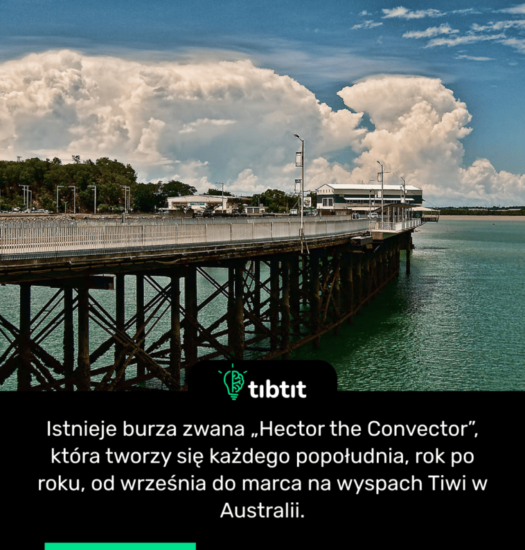 Istnieje burza zwana „Hector the Convector”, która tworzy się każdego popołudnia, rok po roku, od września do marca na wyspach Tiwi w Australii.