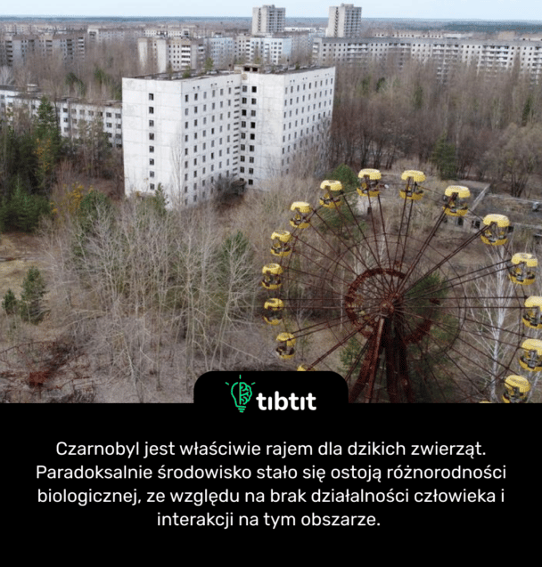 Czarnobyl jest właściwie rajem dla dzikich zwierząt. Paradoksalnie środowisko stało się ostoją różnorodności biologicznej, ze względu na brak działalności człowieka i interakcji na tym obszarze.