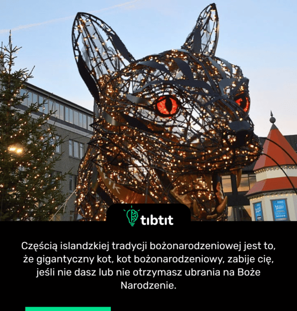 Częścią islandzkiej tradycji bożonarodzeniowej jest to, że gigantyczny kot, kot bożonarodzeniowy, zabije cię, jeśli nie dasz lub nie otrzymasz ubrania na Boże Narodzenie.