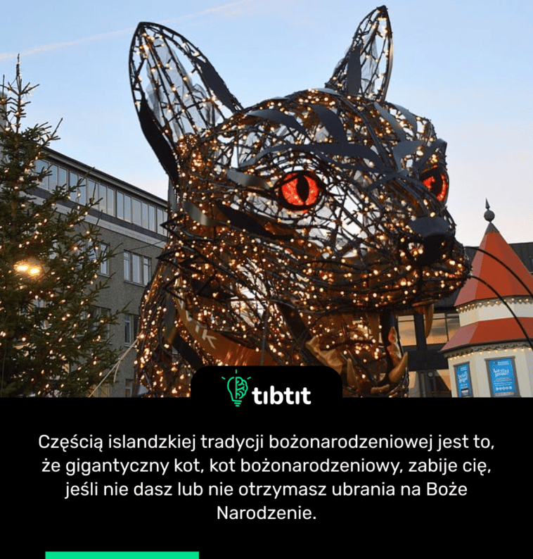 Częścią islandzkiej tradycji bożonarodzeniowej jest to, że gigantyczny kot, kot bożonarodzeniowy, zabije cię, jeśli nie dasz lub nie otrzymasz ubrania na Boże Narodzenie.
