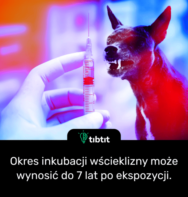 Okres inkubacji wścieklizny może wynosić do 7 lat po ekspozycji.