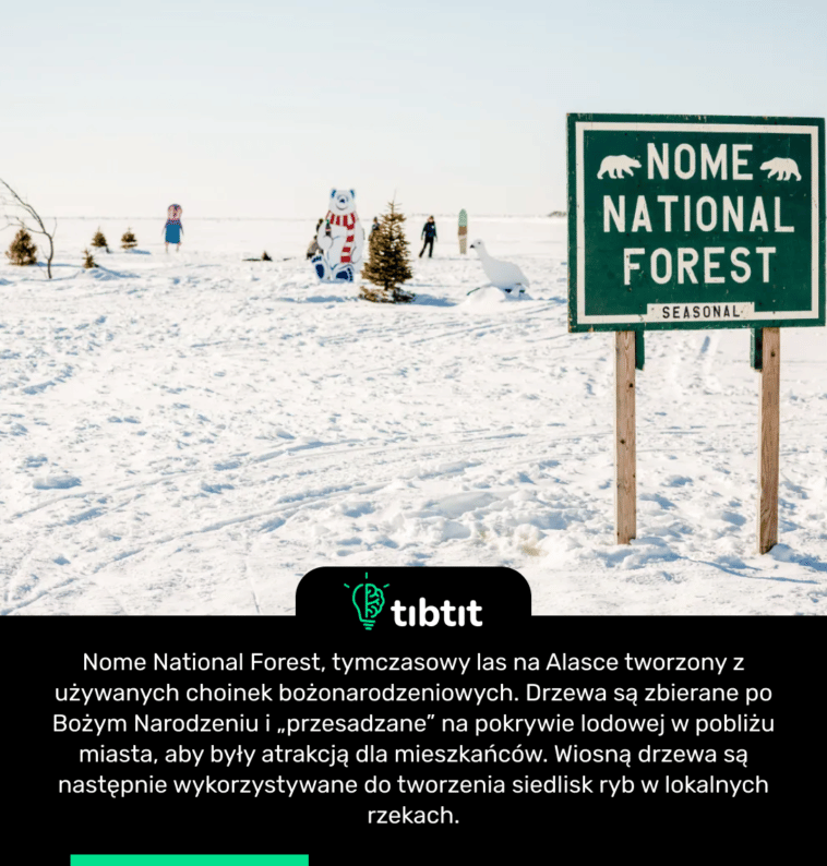 Nome National Forest, tymczasowy las na Alasce tworzony z używanych choinek bożonarodzeniowych. Drzewa są zbierane po Bożym Narodzeniu i „przesadzane” na pokrywie lodowej w pobliżu miasta, aby były atrakcją dla mieszkańców. Wiosną drzewa są następnie wykorzystywane do tworzenia siedlisk ryb w lokalnych rzekach.
