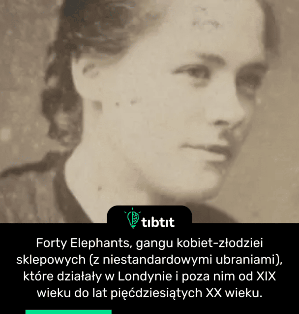 Forty Elephants, gangu kobiet-złodziei sklepowych (z niestandardowymi ubraniami), które działały w Londynie i poza nim od XIX wieku do lat pięćdziesiątych XX wieku.