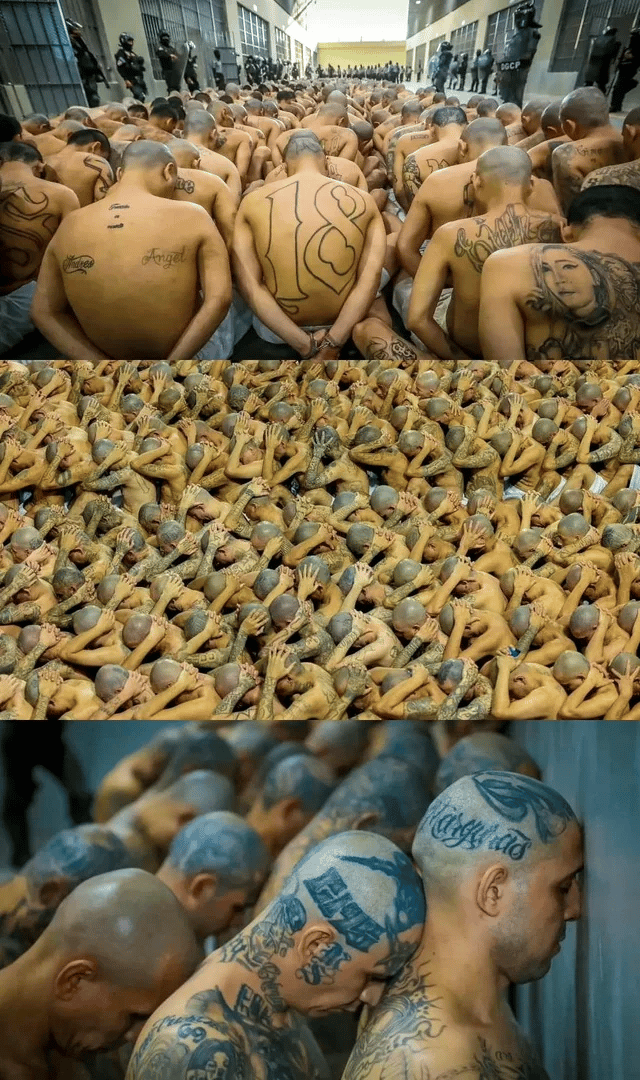 Tysiące wytatuowanych więźniów na zdjęciu w mega-więzieniu w Salwadorze
