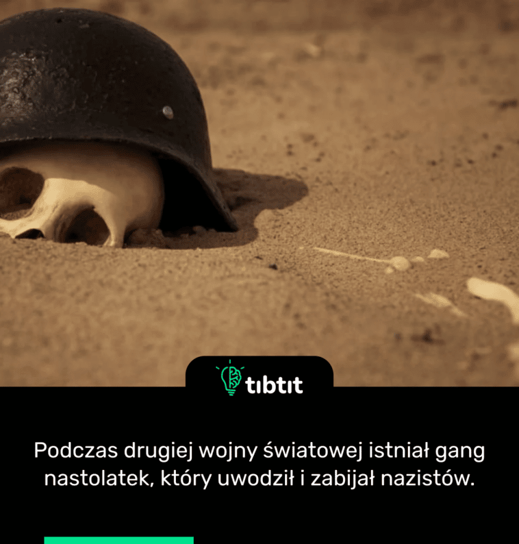 Podczas drugiej wojny światowej istniał gang nastolatek, który uwodził i zabijał nazistów