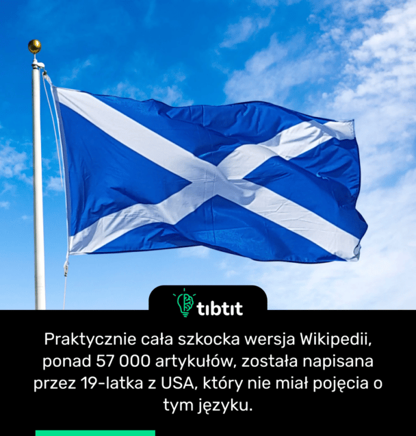 Praktycznie cała szkocka wersja Wikipedii, ponad 57 000 artykułów, została napisana przez 19-latka z USA, który nie miał pojęcia o tym języku.