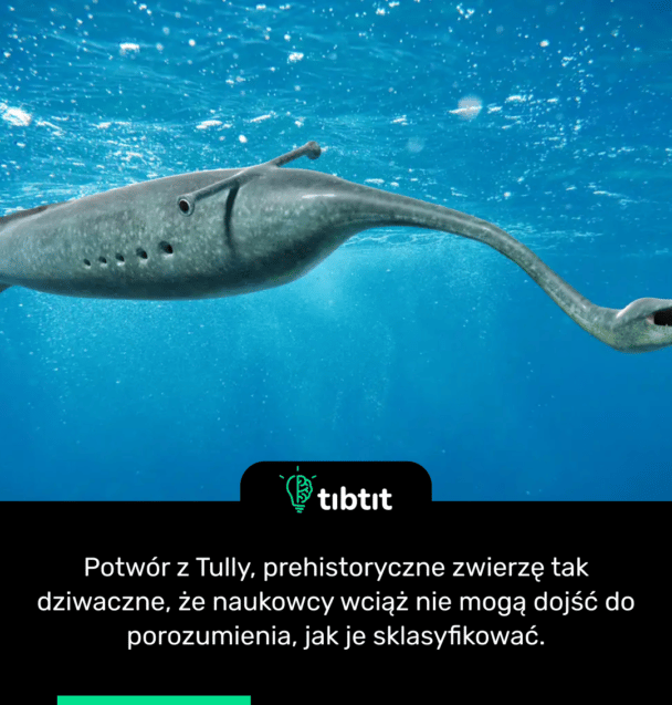 Potwór z Tully, prehistoryczne zwierzę tak dziwaczne, że naukowcy wciąż nie mogą dojść do porozumienia, jak je sklasyfikować.