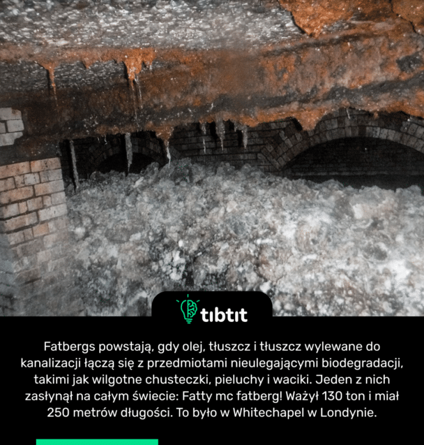 Fatbergs powstają, gdy olej, tłuszcz i tłuszcz wylewane do kanalizacji łączą się z przedmiotami nieulegającymi biodegradacji, takimi jak wilgotne chusteczki, pieluchy i waciki. Jeden z nich zasłynął na całym świecie: Fatty mc fatberg! Ważył 130 ton i miał 250 metrów długości. To było w Whitechapel w Londynie.