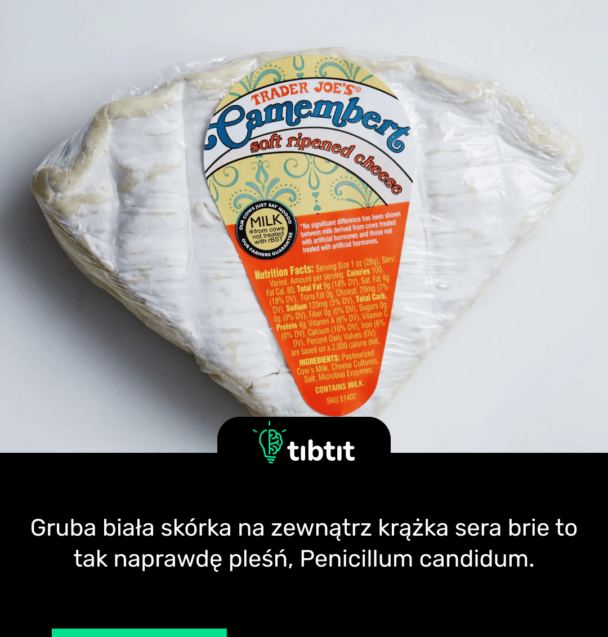 Gruba biała skórka na zewnątrz krążka sera brie to tak naprawdę pleśń, Penicillum candidum.
