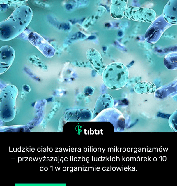 Ludzkie ciało zawiera biliony mikroorganizmów — przewyższając liczbę ludzkich komórek o 10 do 1 w organizmie człowieka.