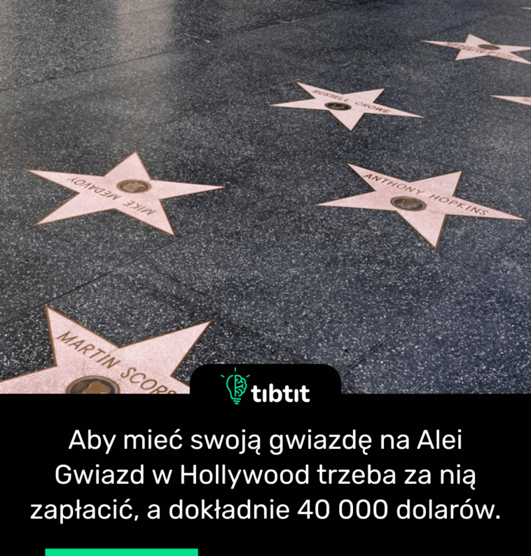 Aby mieć swoją gwiazdę na Alei Gwiazd w Hollywood trzeba za nią zapłacić, a dokładnie 40 000 dolarów.