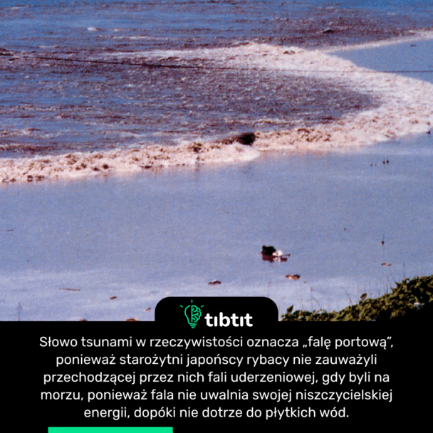 Słowo tsunami w rzeczywistości oznacza „falę portową”, ponieważ starożytni japońscy rybacy nie zauważyli przechodzącej przez nich fali uderzeniowej, gdy byli na morzu, ponieważ fala nie uwalnia swojej niszczycielskiej energii, dopóki nie dotrze do płytkich wód.