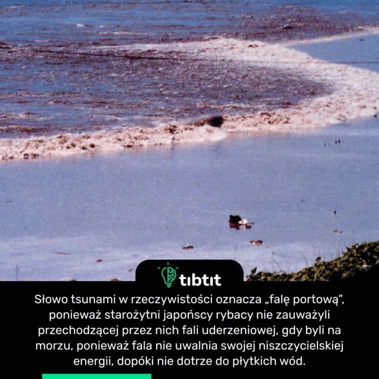 Słowo tsunami w rzeczywistości oznacza „falę portową”, ponieważ starożytni japońscy rybacy nie zauważyli przechodzącej przez nich fali uderzeniowej, gdy byli na morzu, ponieważ fala nie uwalnia swojej niszczycielskiej energii, dopóki nie dotrze do płytkich wód.
