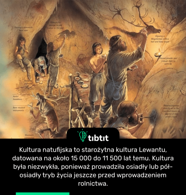 Kultura natufijska to starożytna kultura Lewantu, datowana na około 15 000 do 11 500 lat temu. Kultura była niezwykła, ponieważ prowadziła osiadły lub pół-osiadły tryb życia jeszcze przed wprowadzeniem rolnictwa.