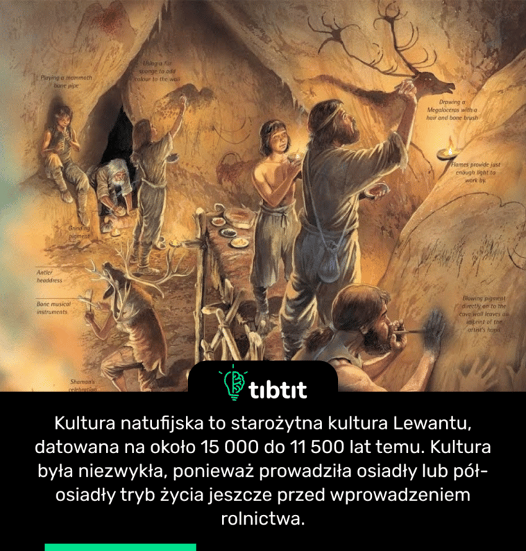 Kultura natufijska to starożytna kultura Lewantu, datowana na około 15 000 do 11 500 lat temu. Kultura była niezwykła, ponieważ prowadziła osiadły lub pół-osiadły tryb życia jeszcze przed wprowadzeniem rolnictwa.