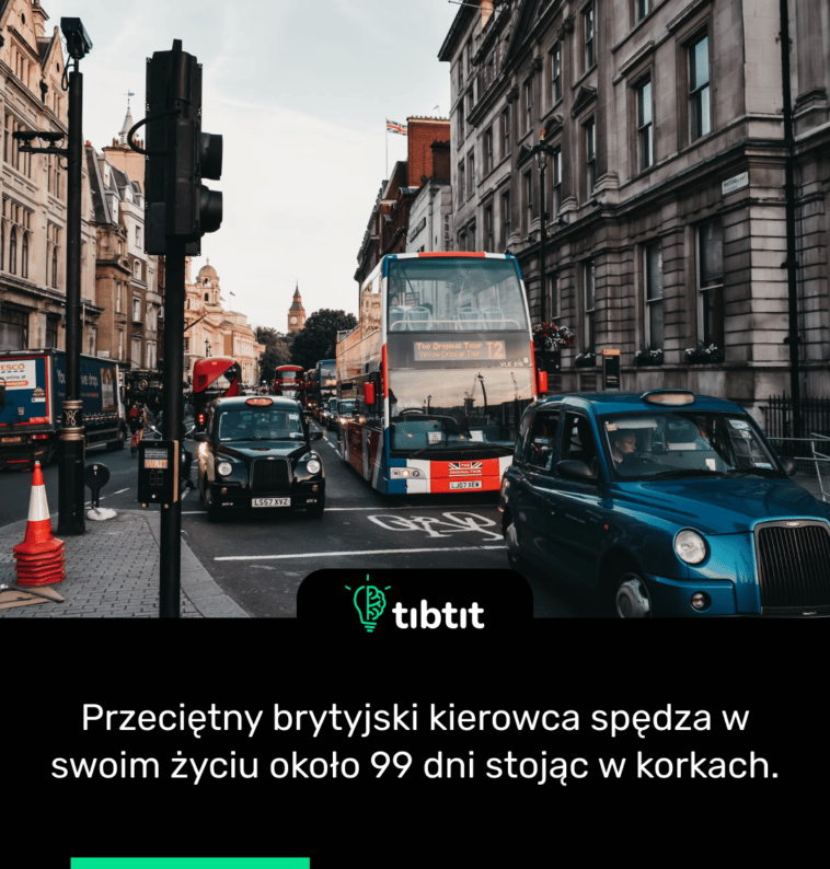 Przeciętny brytyjski kierowca spędza w swoim życiu około 99 dni stojąc w korkach.