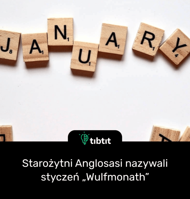 Starożytni Anglosasi nazywali styczeń „Wulfmonath”