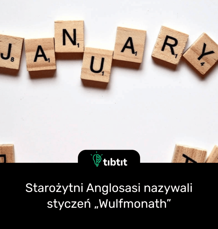 Starożytni Anglosasi nazywali styczeń „Wulfmonath”
