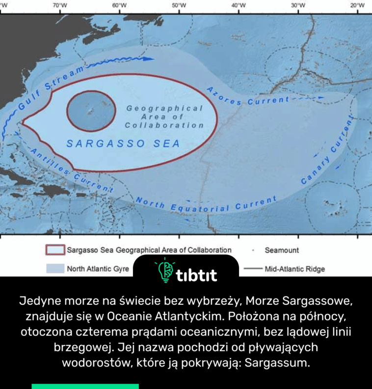 Jedyne morze na świecie bez wybrzeży, Morze Sargassowe, znajduje się w Oceanie Atlantyckim. Położona na północy, otoczona czterema prądami oceanicznymi, bez lądowej linii brzegowej. Jej nazwa pochodzi od pływających wodorostów, które ją pokrywają: Sargassum.