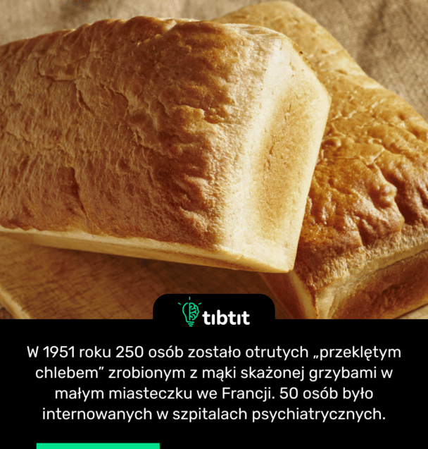 W 1951 roku 250 osób zostało otrutych „przeklętym chlebem” zrobionym z mąki skażonej grzybami w małym miasteczku we Francji. 50 osób było internowanych w szpitalach psychiatrycznych.
