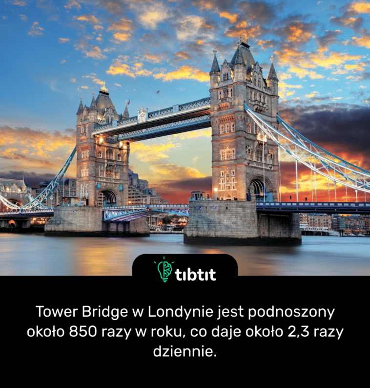 Tower Bridge w Londynie jest podnoszony około 850 razy w roku, co daje około 2,3 razy dziennie.