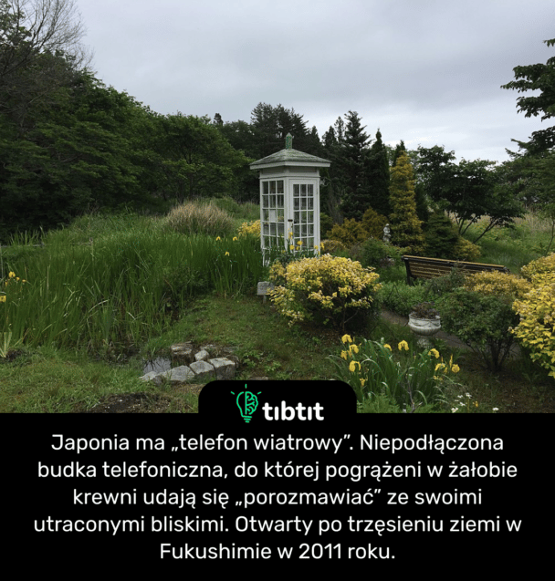 Japonia ma „telefon wiatrowy”. Niepodłączona budka telefoniczna, do której pogrążeni w żałobie krewni udają się „porozmawiać” ze swoimi utraconymi bliskimi. Otwarty po trzęsieniu ziemi w Fukushimie w 2011 roku.