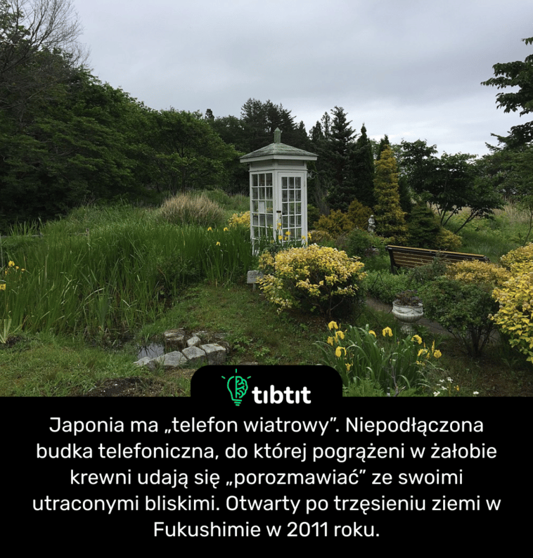 Japonia ma „telefon wiatrowy”. Niepodłączona budka telefoniczna, do której pogrążeni w żałobie krewni udają się „porozmawiać” ze swoimi utraconymi bliskimi. Otwarty po trzęsieniu ziemi w Fukushimie w 2011 roku.