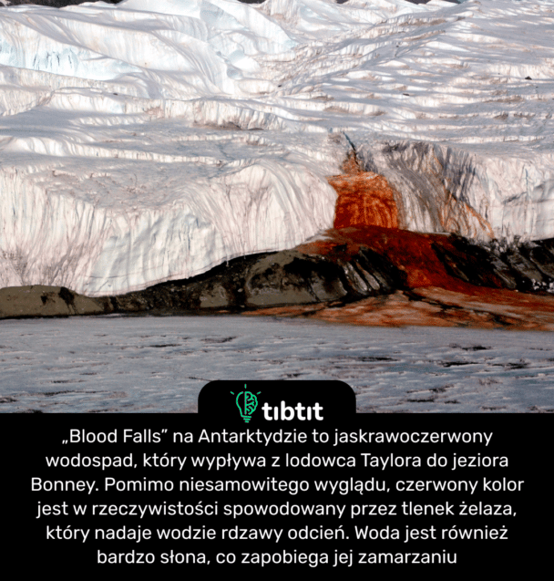„Blood Falls” na Antarktydzie to jaskrawoczerwony wodospad, który wypływa z lodowca Taylora do jeziora Bonney. Pomimo niesamowitego wyglądu, czerwony kolor jest w rzeczywistości spowodowany przez tlenek żelaza, który nadaje wodzie rdzawy odcień. Woda jest również bardzo słona, co zapobiega jej zamarzaniu