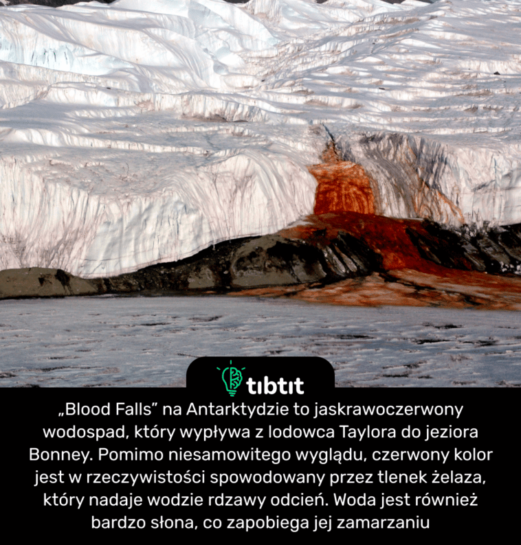 „Blood Falls” na Antarktydzie to jaskrawoczerwony wodospad, który wypływa z lodowca Taylora do jeziora Bonney. Pomimo niesamowitego wyglądu, czerwony kolor jest w rzeczywistości spowodowany przez tlenek żelaza, który nadaje wodzie rdzawy odcień. Woda jest również bardzo słona, co zapobiega jej zamarzaniu