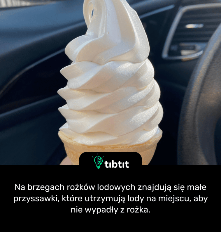 Na brzegach rożków lodowych znajdują się małe przyssawki, które utrzymują lody na miejscu, aby nie wypadły z rożka.