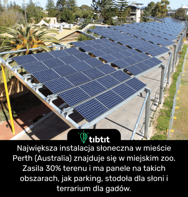Największa instalacja słoneczna w mieście Perth (Australia) znajduje się w miejskim zoo. Zasila 30% terenu i ma panele na takich obszarach, jak parking, stodoła dla słoni i terrarium dla gadów.