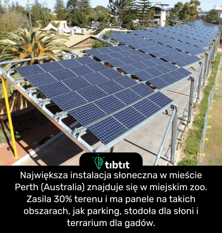Największa instalacja słoneczna w mieście Perth (Australia) znajduje się w miejskim zoo. Zasila 30% terenu i ma panele na takich obszarach, jak parking, stodoła dla słoni i terrarium dla gadów.