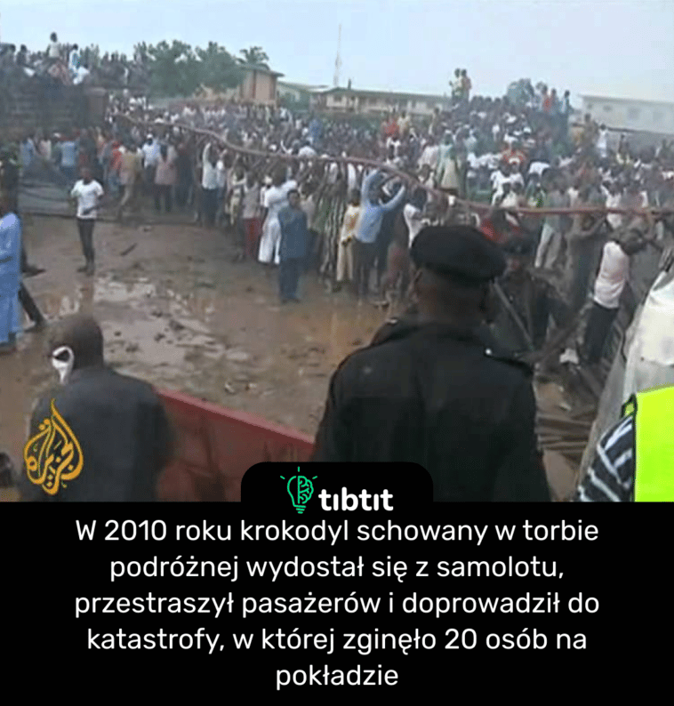 W 2010 roku krokodyl schowany w torbie podróżnej wydostał się z samolotu, przestraszył pasażerów i doprowadził do katastrofy, w której zginęło 20 osób na pokładzie