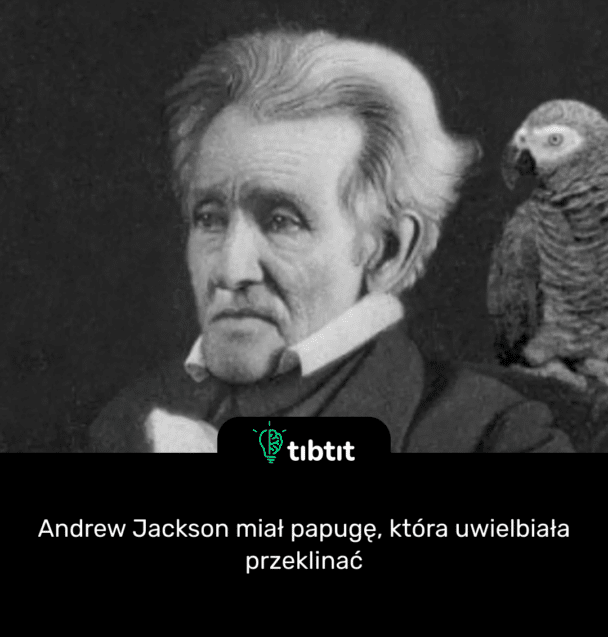 Andrew Jackson miał papugę, która uwielbiała przeklinać