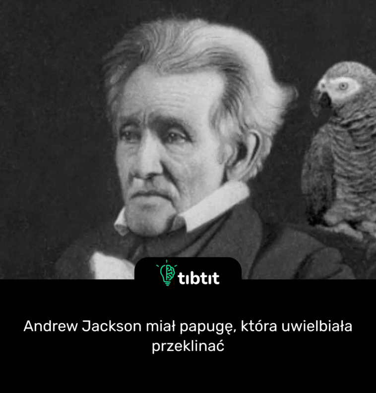 Andrew Jackson miał papugę, która uwielbiała przeklinać