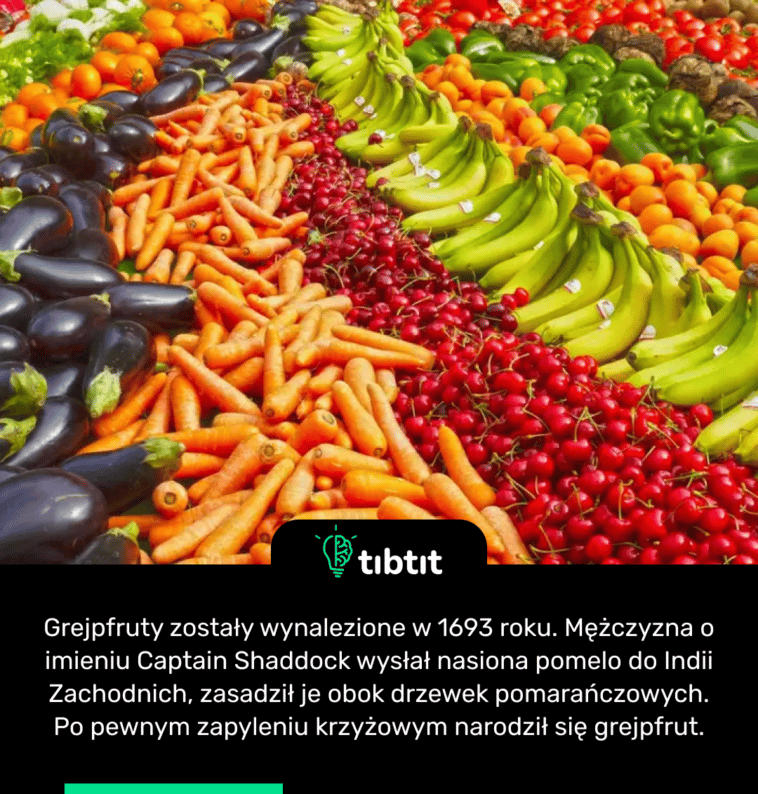 Grejpfruty zostały wynalezione w 1693 roku. Mężczyzna o imieniu Captain Shaddock wysłał nasiona pomelo do Indii Zachodnich, zasadził je obok drzewek pomarańczowych. Po pewnym zapyleniu krzyżowym narodził się grejpfrut.